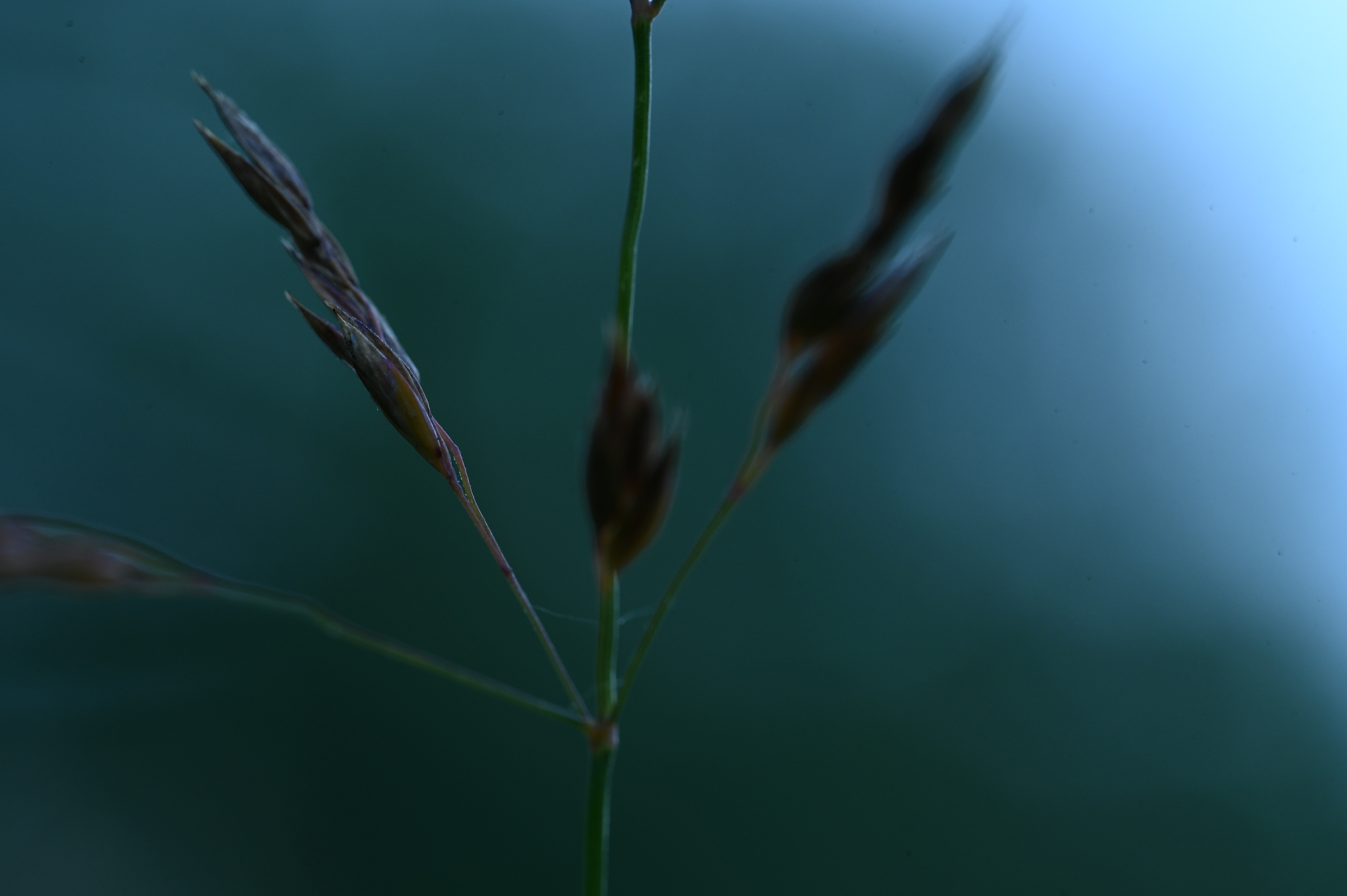 2025/07/09-14 - trip/DSC_0076.JPG